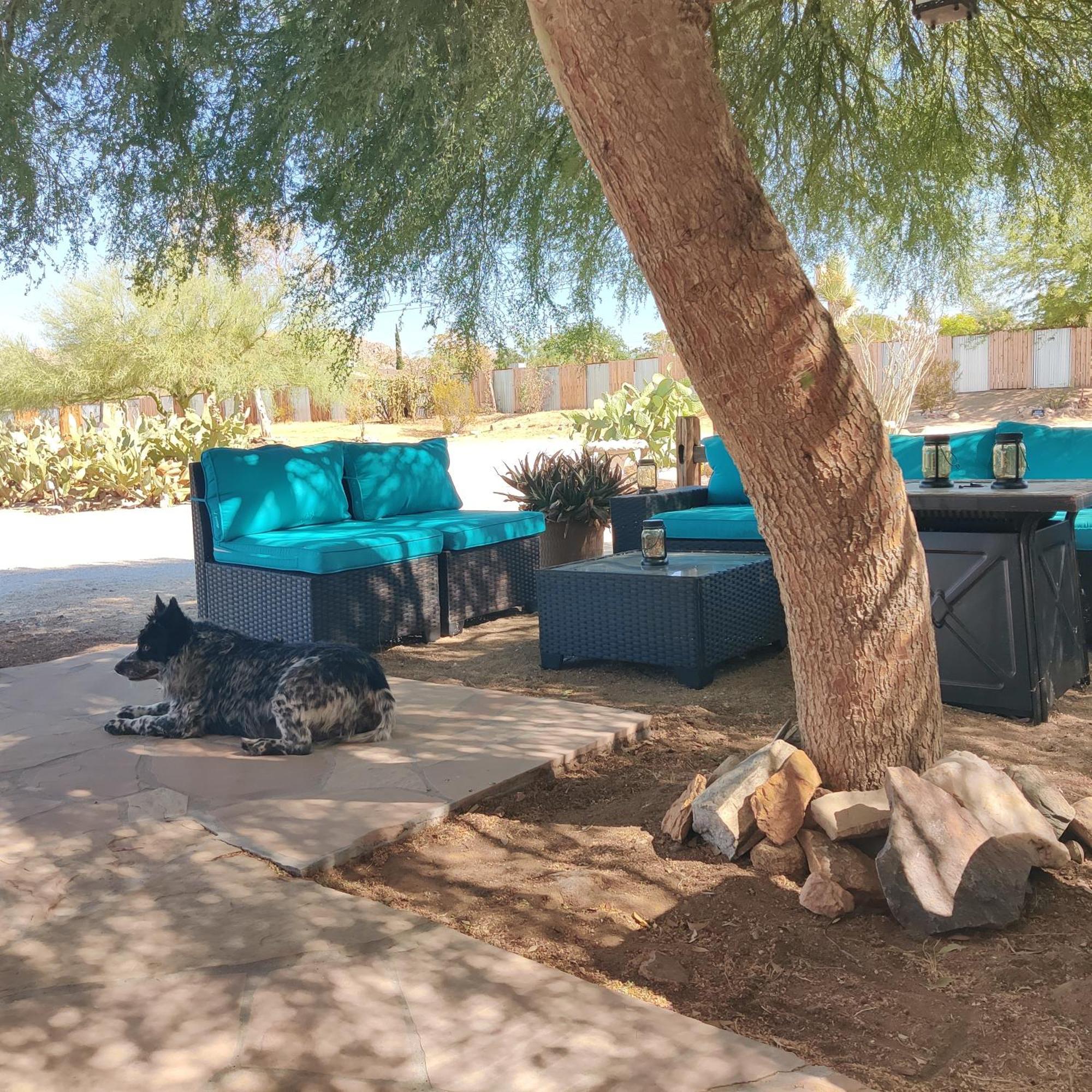 Joshua Tree Ranch House Motel - Downtown - Room #8 מראה חיצוני תמונה